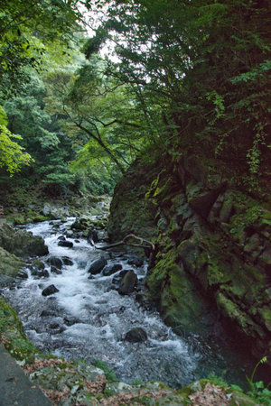 A view of the Iwato River. Takachiho, Miyazaki, Japanの写真素材