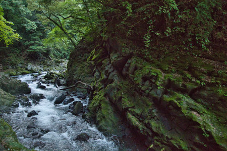 A view of the Iwato River. Takachiho, Miyazaki, Japanの写真素材