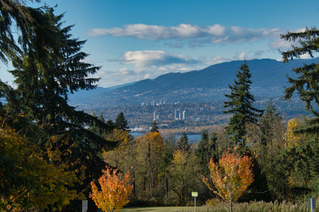 A view of North Vancouver with the autumn leaves.  from Burnaby Mt., BC, Canadaの写真素材
