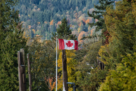 A view of the Canadian flag waving on a sunny autumn day.  Burnaby BC Canadaの写真素材