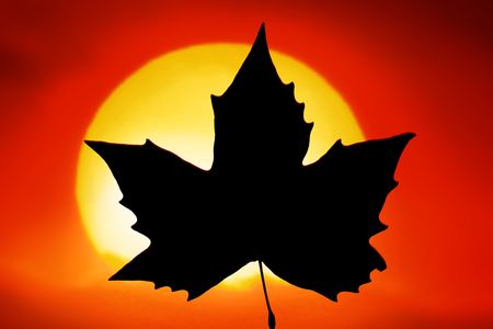 The Flag of Canada in red sunlightの写真素材