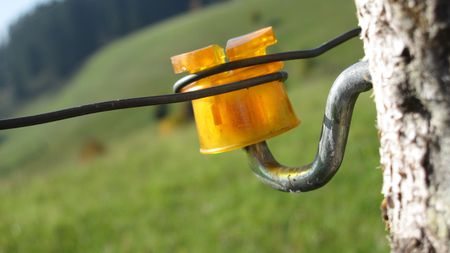 fence