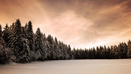 Winter in the Black Forest in Germanyの写真素材
