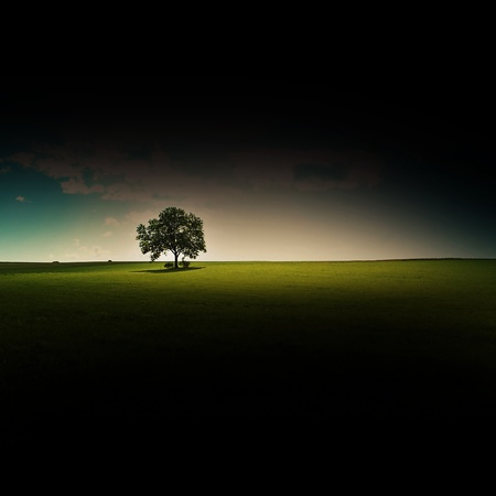 lone tree with art effect and copyspaceの写真素材