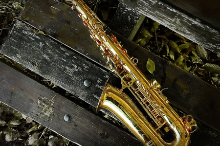Saxophone on a wooden bench in autumn