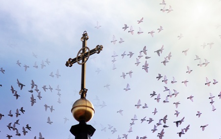 golden cross on the top of the church with many birdsの写真素材