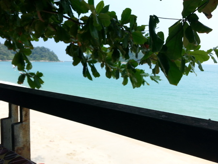beach view under a treeの写真素材
