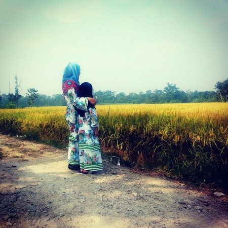 a mother and a daughter viewing at the paddy fieldの写真素材