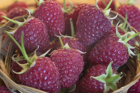 Fresh organic fruits - raspberries against the background of a tree in a small basket made of wood.