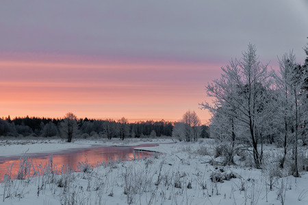 Fantastic dawn landscape in a colorful sunlight. Trees covered with hoarfrost.の写真素材
