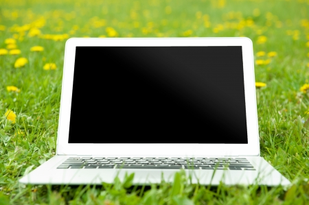 Laptop on grass の写真素材