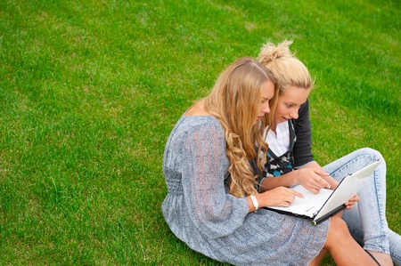 Portrait of two smiling women using laptop on a green meadow at the city park. Copyspaceの写真素材