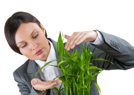 Adult business woman taking care about her plant. Safety and confidence guaranty for young business conceptの写真素材