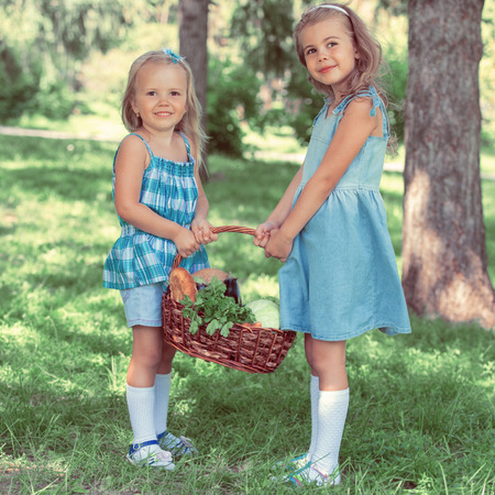 Two little girls carrying basket with organic food for picnic, outdoors. Retro filter photoの写真素材