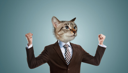 Business man with cat headの写真素材