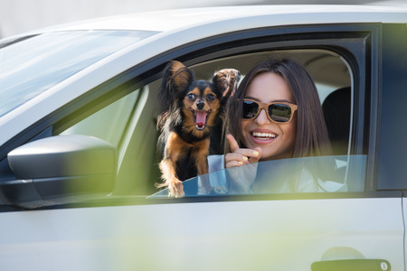 Woman and dog in car on summer travel. Funny dog traveling. Vacation with pet concept.の写真素材