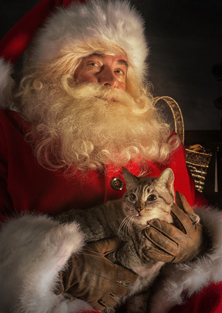 Santa Claus sitting near Christmas tree and embracing his cat. Santa at homeの写真素材
