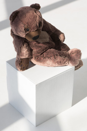 Teddy Bear Posing on White Cube at Studioの写真素材