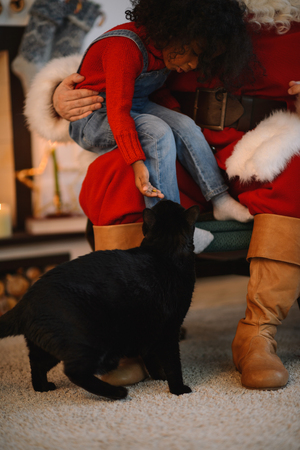 Santa Claus feeding a cat with cute african child near the fireplace and Christmas tree at homeの写真素材