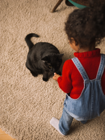 Little African Girl Playing with Cat at Homeの写真素材