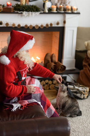 Santa Claus Warming Feeding his Cat at Homeの写真素材