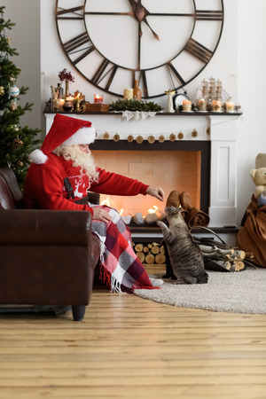 Santa Claus Warming Feeding his Cat at Homeの写真素材