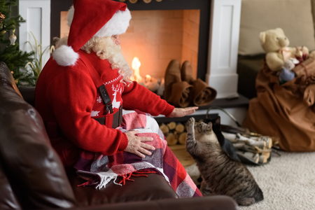 Santa Claus Warming Feeding his Cat at Homeの写真素材