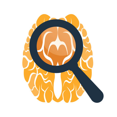 Find Brain Design Template. Magnifying glass brain design icon.のイラスト素材