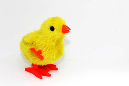 Cute Chick Toy Yellow Color for Kidの写真素材