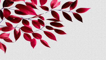 Red Leaves Transparent Background With Gradient Mesh, Vector Illustrationのイラスト素材