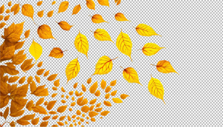 Autumn leaves isolated on transparent background. EPS 10 vector file includedのイラスト素材