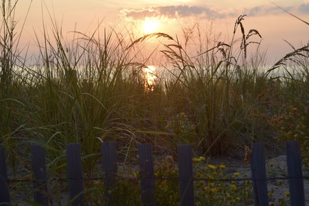 Rising Sunの写真素材
