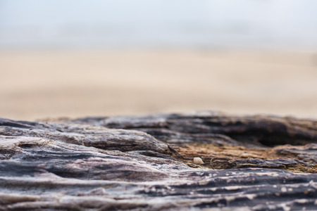 wooden texture over blurry backgroundの写真素材