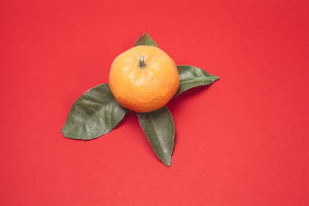 orange tangerine or Mineola with  leaf on red backgroundの写真素材