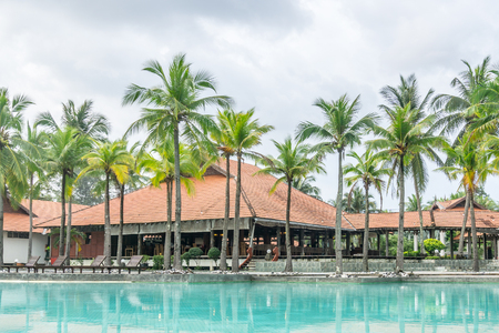 Tropical resort and swimming pool with coconut treeのeditorial素材