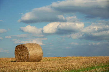 straw balesの写真素材