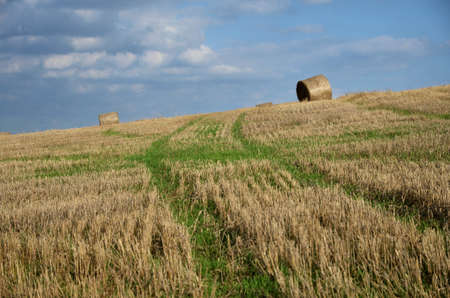 Straw bales in the hillsideの写真素材