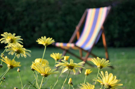 chairの写真素材