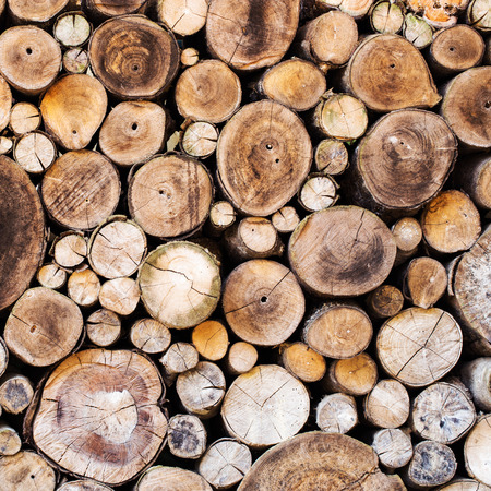 Wood texture background have many logs that cuted from big tree and small treeの写真素材