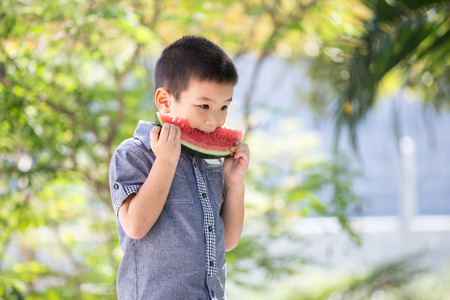 Cute little asian boy eating watermelon in park with sunshineの写真素材