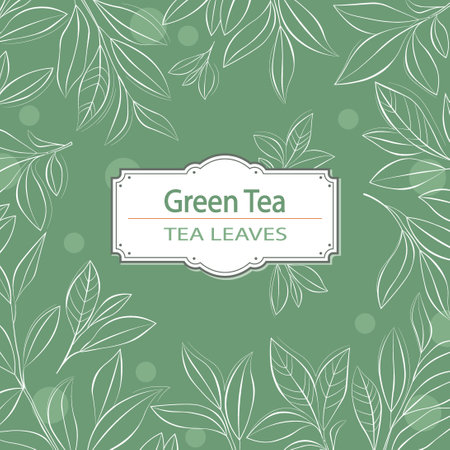 Hand drawn tea leaves backgroundのイラスト素材