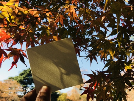man holds a blank white paper with beautiful red and orange maple leaves, colorful trees and nice blue sky on background, greetings for autumn seasonの写真素材