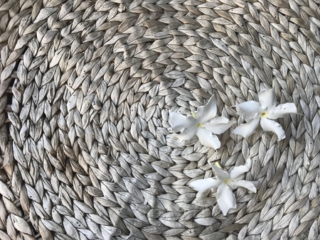 three white othalanga flowers on weaved water hyacinth round table in natural light brown color with copy space on left side of frame, using for backgroundの写真素材