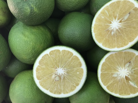 Fresh ripe sweet oranges which cut in a halfの写真素材