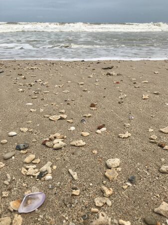 many of seashells on sand beach with sea wave and blue sky on backgroundの写真素材