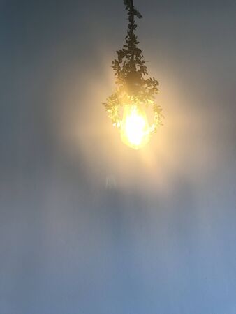 warm light bulb which decorated with green climbing plant hanging from ceiling with light blue wall on backgroundの写真素材