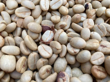 closed up shot of green coffee beans in the dry process in daylightの写真素材