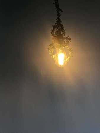 yellow light bulb decorated with a green climbing plant hanging from the ceiling with a pale blue wall in the backgroundの写真素材