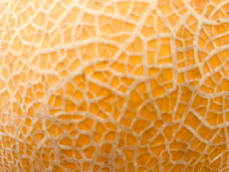 defocused blur close-up of riped gold melon's skin in natural daylight, using for the backgroundの写真素材
