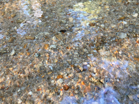 clear flowing stream that can see white and brown pebbles beneath it on a sunshine dayの写真素材